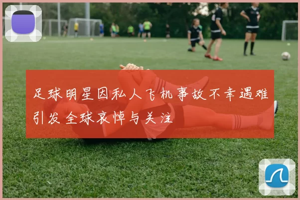 足球明星因私人飞机事故不幸遇难引发全球哀悼与关注