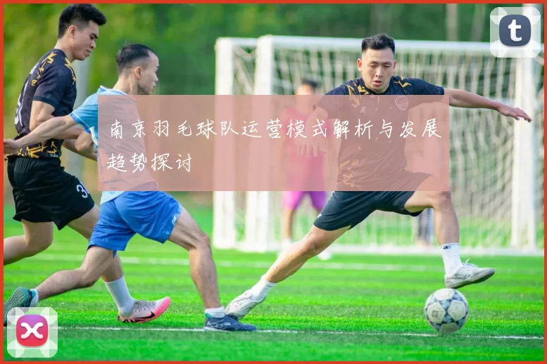 南京羽毛球队运营模式解析与发展趋势探讨
