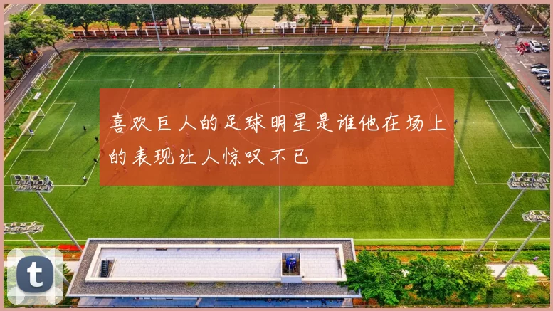 喜欢巨人的足球明星是谁他在场上的表现让人惊叹不已