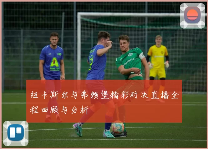 纽卡斯尔与弗赖堡精彩对决直播全程回顾与分析