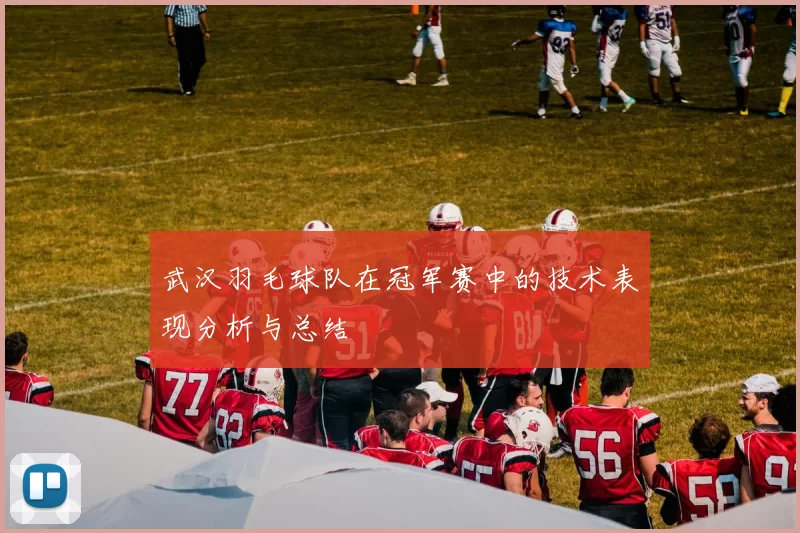 武汉羽毛球队在冠军赛中的技术表现分析与总结