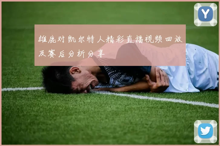 雄鹿对凯尔特人精彩直播视频回放及赛后分析分享