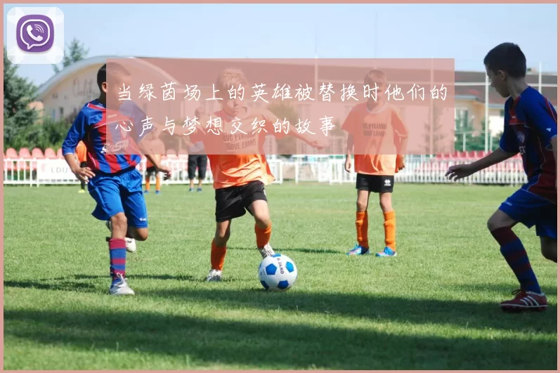 当绿茵场上的英雄被替换时他们的心声与梦想交织的故事