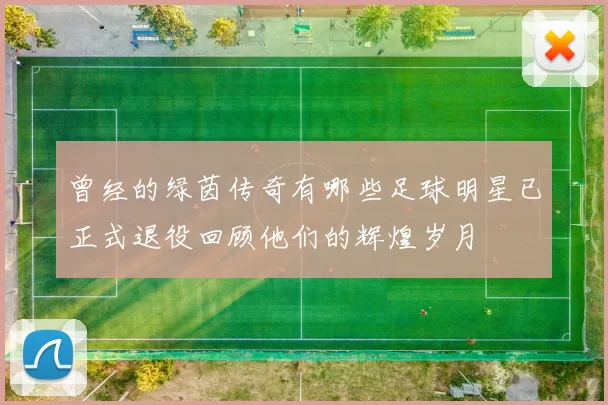 曾经的绿茵传奇有哪些足球明星已正式退役回顾他们的辉煌岁月