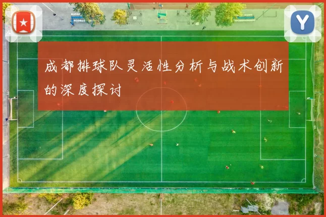 成都排球队灵活性分析与战术创新的深度探讨