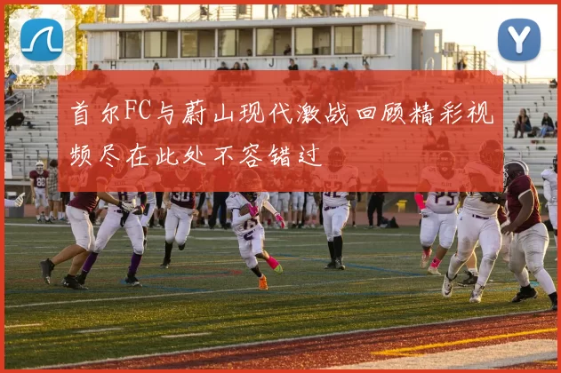 首尔FC与蔚山现代激战回顾精彩视频尽在此处不容错过