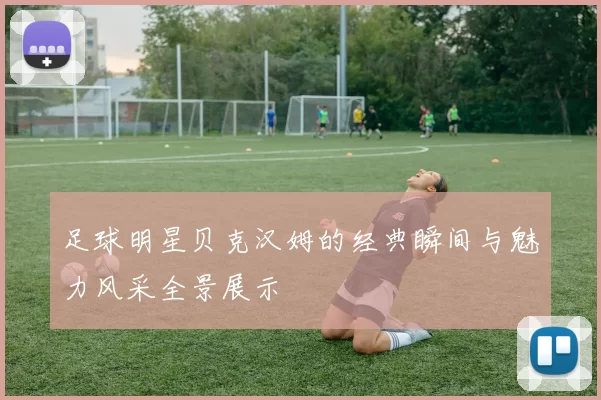 足球明星贝克汉姆的经典瞬间与魅力风采全景展示