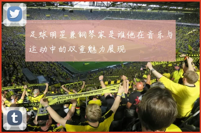 足球明星兼钢琴家是谁他在音乐与运动中的双重魅力展现
