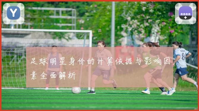 足球明星身价的计算依据与影响因素全面解析
