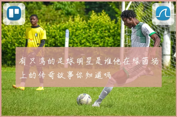 有只鸟的足球明星是谁他在绿茵场上的传奇故事你知道吗