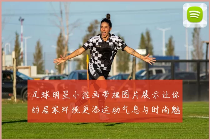 足球明星小挂画带框图片展示让你的居家环境更添运动气息与时尚魅力