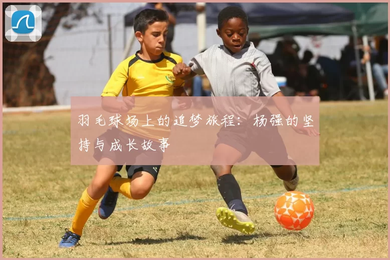 羽毛球场上的追梦旅程：杨强的坚持与成长故事
