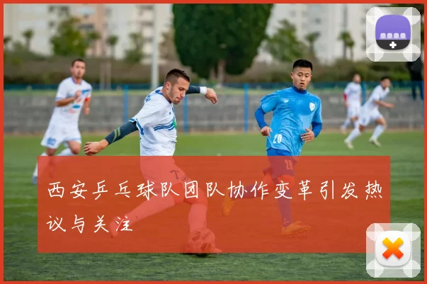 西安乒乓球队团队协作变革引发热议与关注