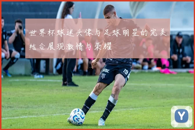 世界杯球迷头像与足球明星的完美结合展现激情与荣耀