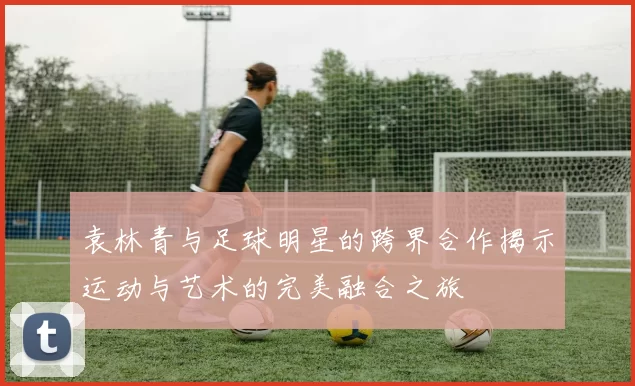 袁林青与足球明星的跨界合作揭示运动与艺术的完美融合之旅