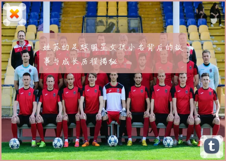 姓苏的足球明星女孩小名背后的故事与成长历程揭秘