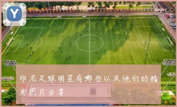 印尼足球明星有哪些以及他们的精彩图片分享